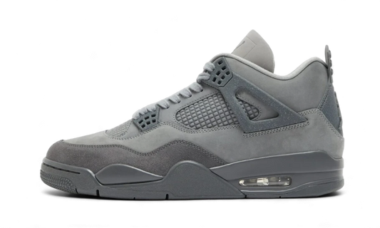 Air Jordan 4 SE 'Paris Olympic'